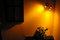 Free Flowers By Orange Wall Royalty Free Stock Image - 5923756