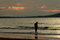Free Wading In The Sunset Stock Photo - 5927090