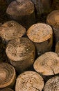 Free Logs Royalty Free Stock Image - 5937296