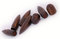 Free Old Bullets Stock Image - 5931031