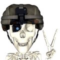 Free Peace Skull Royalty Free Stock Photo - 5949825