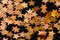 Free Christmas Stars Stock Photography - 5946552