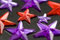 Free Christmas Stars Stock Photos - 5946563