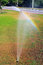 Free Rainbow On Lawn Stock Photography - 5949042