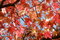 Free Beautiful Autumn Tree Royalty Free Stock Images - 5949929