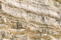 Free Rock Texture Royalty Free Stock Images - 5956819
