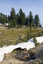 Free Snow Melt Royalty Free Stock Photo - 5959325