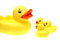 Free Small Yellow Plastic Ducks Stock Photos - 5951443
