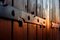 Free Wooden Windows In The Sunset Royalty Free Stock Images - 5952879