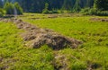 Free Haymaking In Siberia 26 Royalty Free Stock Images - 5963169