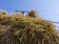 Free Haymaking In Siberia 11 Stock Image - 5964821