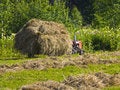 Free Haymaking In Siberia 1 Royalty Free Stock Photos - 5965138