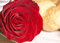Free Macro Shot Of Red Rose With Breakfast Stock Images - 5960284