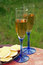 Free Glasses White Wine, Cheese, Crackers Royalty Free Stock Photo - 5965015