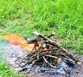 Free Fire On Nature Royalty Free Stock Photography - 5972387