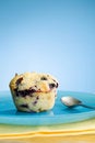 Free Muffin And Blue Plate Stock Photos - 5972923