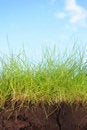 Free Agriculture Royalty Free Stock Images - 5977589