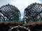 Free Lobster Pots Stock Photo - 5970960