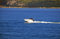 Free Speed-boat Over Blue Sea Royalty Free Stock Photo - 5976825