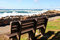 Free Wooden Bench By The Sea Stock Photo - 5985700