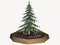 Free Christmas Tree Royalty Free Stock Images - 5988849