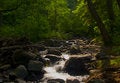 Free Forest Stream And Sunbeam Stock Images - 5995104