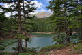 Free Bear Lake In Colorado Stock Image - 5995601