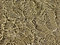 Free Water And Sand Stock Photography - 5994212