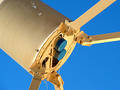 Free Feed-Horn Close-up Stock Photo - 64670