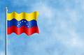 Free Venezuela Stock Photos - 67603