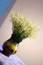 Free Lilies Of The Valley In The Vase Stay On The Blue Surface Stock Photo - 608650