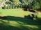 Free The Garden Theater Stock Photos - 603133