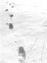 Free Footsteps In Snow Stock Photos - 6004213