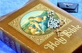 Free Vintage Holy Bible Stock Photo - 6004560