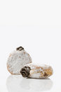 Free Donuts Stock Photo - 6006240