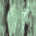 Free Sl Green Rust Royalty Free Stock Photo - 6008945