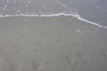 Free Peace Royalty Free Stock Photos - 6009248