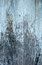 Free Wood Background Royalty Free Stock Image - 6007186