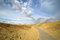 Free Boardwalk In The Dunes Royalty Free Stock Image - 6007726