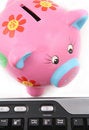 Free Piggybank And Keyboard Stock Photography - 6014002