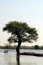 Free All Alone Stock Photography - 6020312