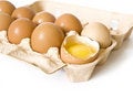 Free Container Of Eggs Royalty Free Stock Photography - 6021897