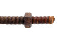 Free Thread & Nut Royalty Free Stock Photography - 6024837