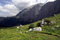 Free Footpath In Mountains Of Caucasus Royalty Free Stock Photo - 6025505