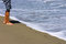 Free Boy At The Beach Stock Photos - 6027563
