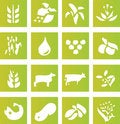 Free Green Farming Crop Icons Royalty Free Stock Photo - 6032235