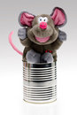 Free Stuffed Toy Animal In Can Stock Image - 6036021