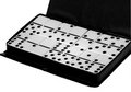 Free Dominoes Stock Photography - 6038342