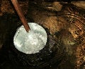 Free Water In Pit Stock Image - 6038481