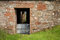 Free Farm Wall Stock Image - 6039751